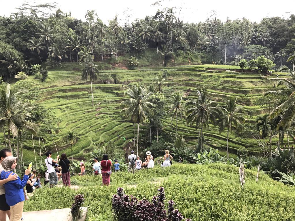 Dimuwa Ubud Exterior photo